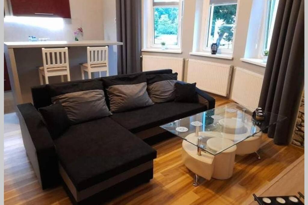 Apartamento Apartament z widokiem na Park -Cieplice Śląskie Zdrój Jelenia Góra Exterior foto