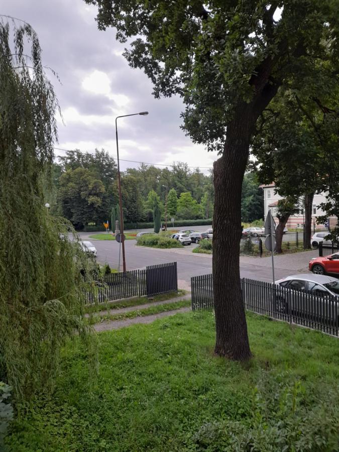 Apartamento Apartament z widokiem na Park -Cieplice Śląskie Zdrój Jelenia Góra Exterior foto