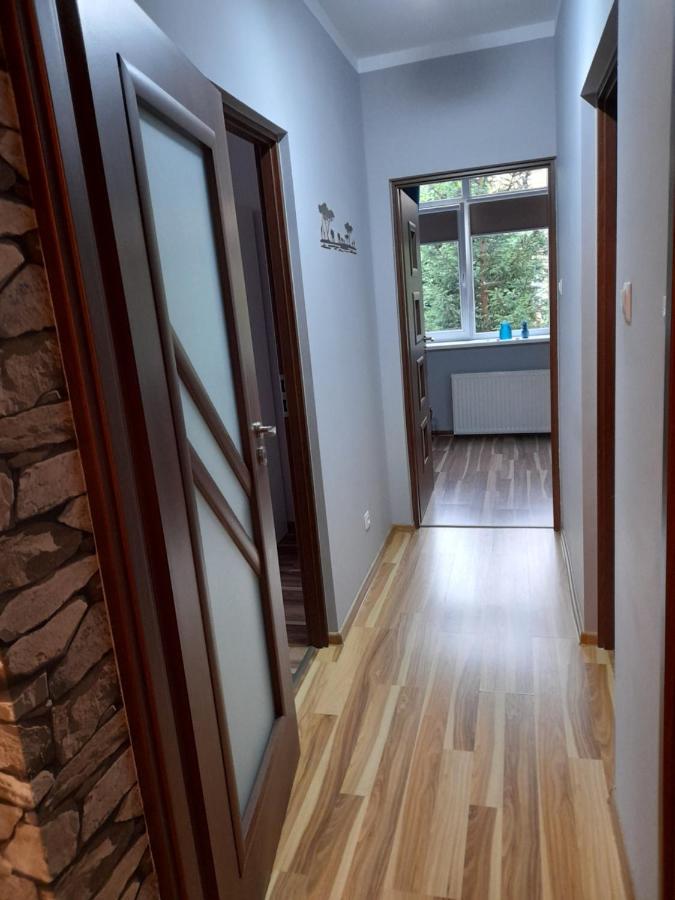 Apartamento Apartament z widokiem na Park -Cieplice Śląskie Zdrój Jelenia Góra Exterior foto